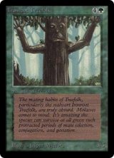 鉄の根の樹人族/Ironroot Treefolk (LEB)