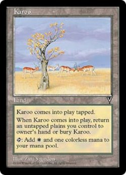 画像1: 乾燥高原/Karoo (VIS)