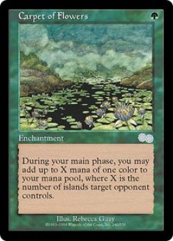 画像1: 花の絨毯/Carpet of Flowers (USG)