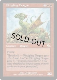 巣立つドラゴン/Fledgling Dragon (JUD)