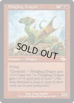 画像1: 巣立つドラゴン/Fledgling Dragon (JUD)