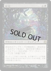 苦花/Bitterblossom (MOR)