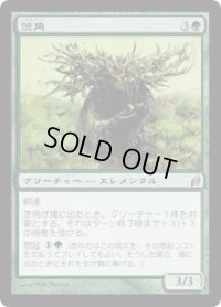 茨角/Briarhorn (LRW)