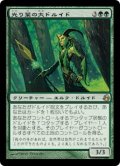 光り葉の大ドルイド/Gilt-Leaf Archdruid (MOR)