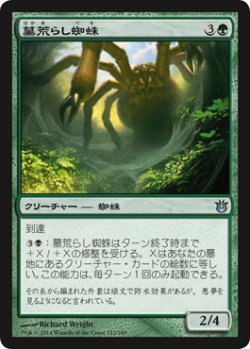 画像1: 墓荒らし蜘蛛/Graverobber Spider (BNG)