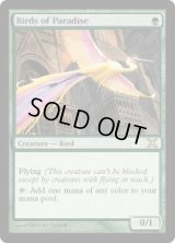 極楽鳥/Birds of Paradise (10E)