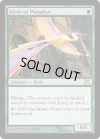 極楽鳥/Birds of Paradise (10E)