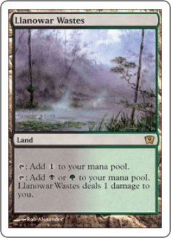 画像1: ラノワールの荒原/Llanowar Wastes (9ED)《Foil》