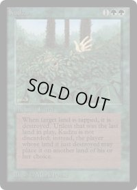 Kudzu  (LEB)