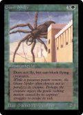 大蜘蛛/Giant Spider   (LEB)