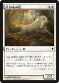 銀筋毛の狐/Silverchase Fox (CNS)
