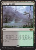 ラノワールの荒原/Llanowar Wastes (M15)
