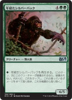 画像1: 年経たシルバーバック/Ancient Silverback (M15)