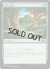 自然に帰れ/Back to Nature (M15)