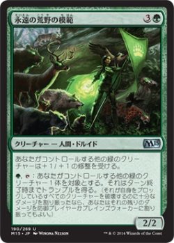 画像1: 永遠の荒野の模範/Paragon of Eternal Wilds (M15)