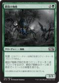 網投げ蜘蛛/Netcaster Spider (M15)