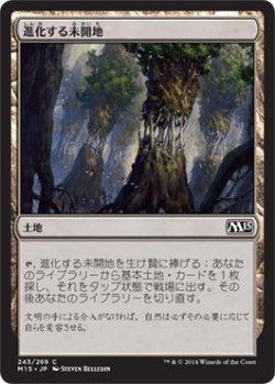 画像1: 進化する未開地/Evolving Wilds (M15)