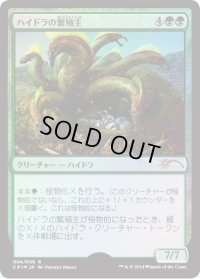 ハイドラの繁殖主/Hydra Broodmaster （基本セット2015 対戦キット）