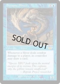 神経スリヴァー/Synapse Sliver (LGN)