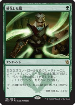 画像1: 硬化した鱗/Hardened Scales (KTK)