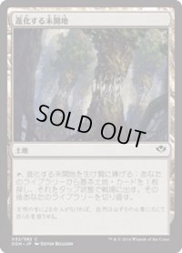 進化する未開地/Evolving Wilds (DDN)