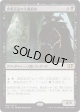 貴重品室の大魔術師/Magus of the Coffers (C14)