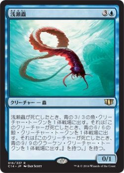 画像1: 浅瀬蟲/Reef Worm (C14)