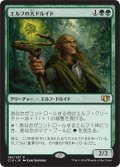 エルフの大ドルイド/Elvish Archdruid (C14)