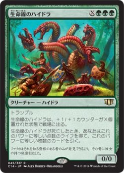 画像1: 生命線のハイドラ/Lifeblood Hydra (C14)