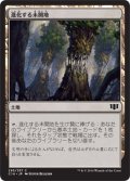 進化する未開地/Evolving Wilds (C14)