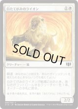 白たてがみのライオン/Whitemane Lion (C14)