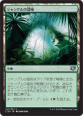 ジャングルの盆地/Jungle Basin (C14)