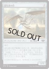 巡礼者の目/Pilgrim's Eye (C14)