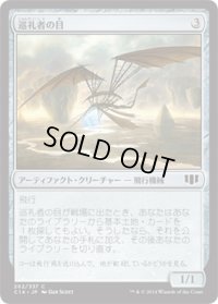 巡礼者の目/Pilgrim's Eye (C14)