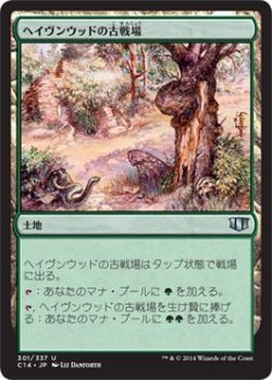 画像1: ヘイヴンウッドの古戦場/Havenwood Battleground (C14)