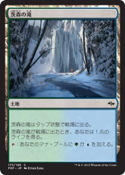 画像1: 茨森の滝/Thornwood Falls (FRF)