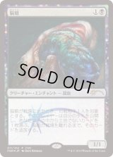 脳蛆/Brain Maggot (FNM)