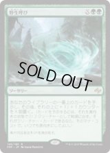 野生呼び/Wildcall (Prerelease Card)