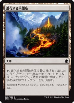 画像1: 進化する未開地/Evolving Wilds (DTK)