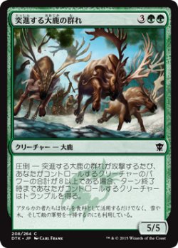 画像1: 突進する大鹿の群れ/Stampeding Elk Herd (DTK)