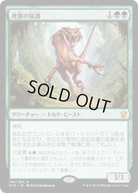 死霧の猛禽/Deathmist Raptor (DTK)