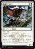 盾皮のドラゴン/Shieldhide Dragon (DTK)