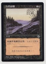 自然の喪失/Nature's Ruin (POR)【中国語】