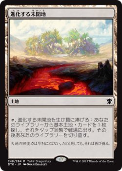 画像1: 進化する未開地/Evolving Wilds (Tarkir Dragonfury)