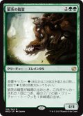 狼茨の精霊/Wolfbriar Elemental (MM2)