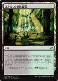 ゴルガリの腐敗農場/Golgari Rot Farm (MM2)