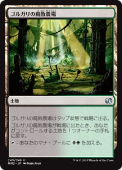 画像1: ゴルガリの腐敗農場/Golgari Rot Farm (MM2)