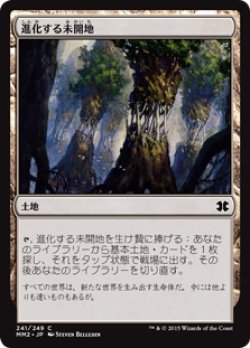 画像1: 進化する未開地/Evolving Wilds (MM2)