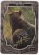 画像1: 熊/Bear (Jason Engle Token) (1)