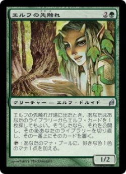 画像1: エルフの先触れ/Elvish Harbinger (LRW)